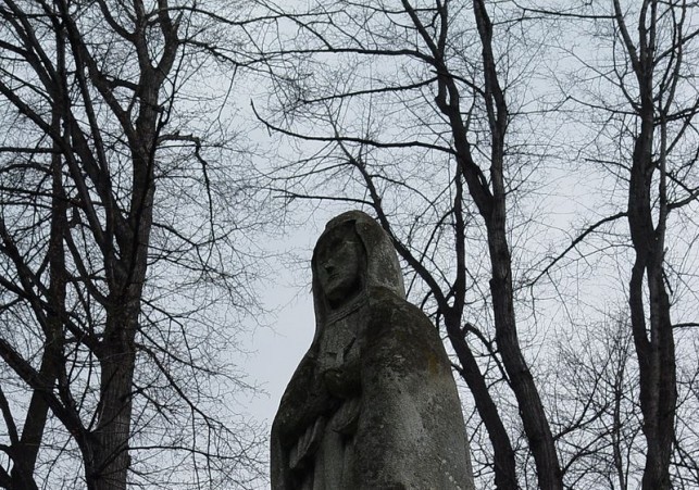 Aleja parkowa w Dębnie pomnik sw kingi
