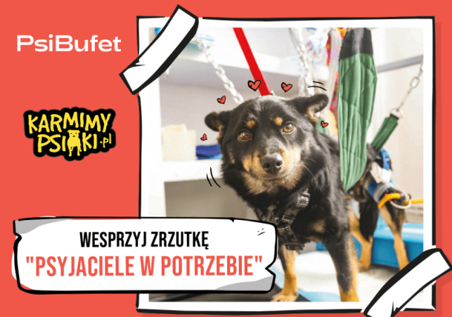 PSYjaciele w potrzebie