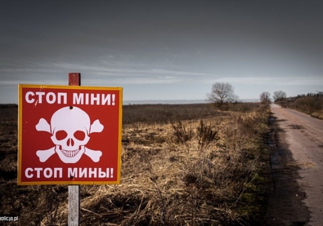 kontyngent humanitarny policji