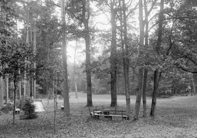 pacyfikacja lesniczowek