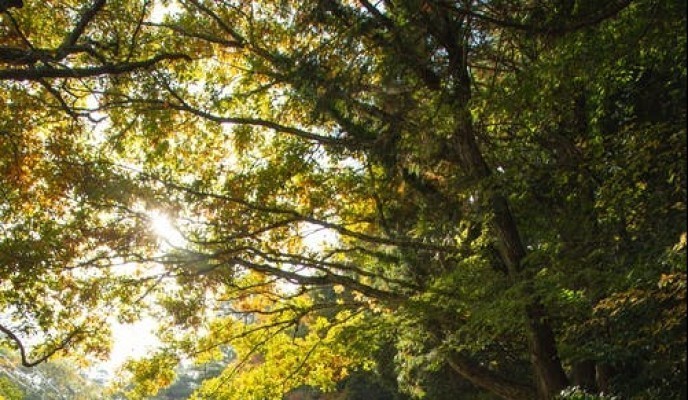 pexels-photo-5473057