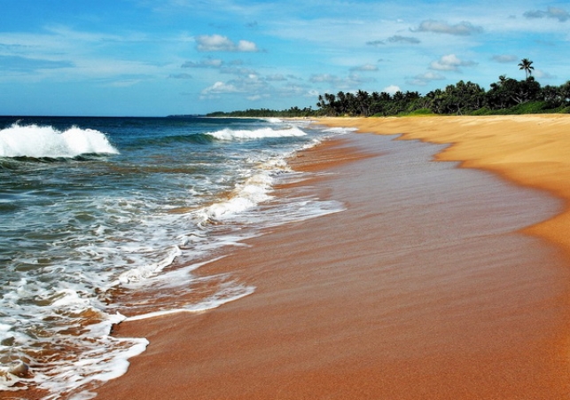 wakacje na sri lance