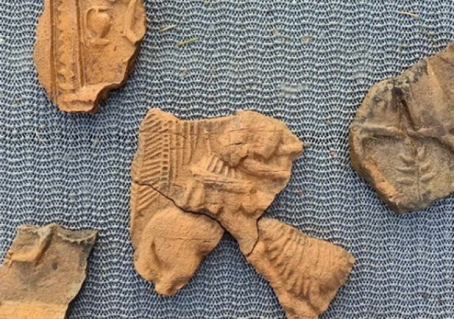 siedziba rycerska w widowie