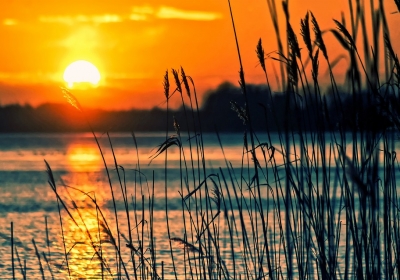 celtowie na kujawach