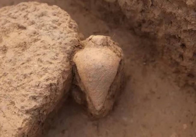 niezwykla butelka odkryta w chinach